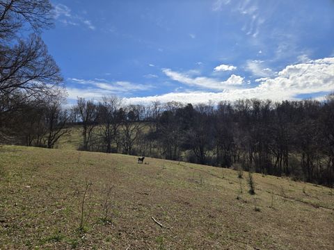 0 Ella West Circle E Lynnville TN 38472