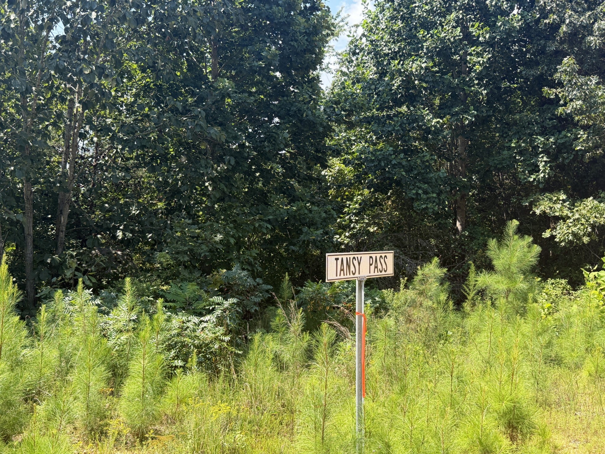 0 Black Bear Trail