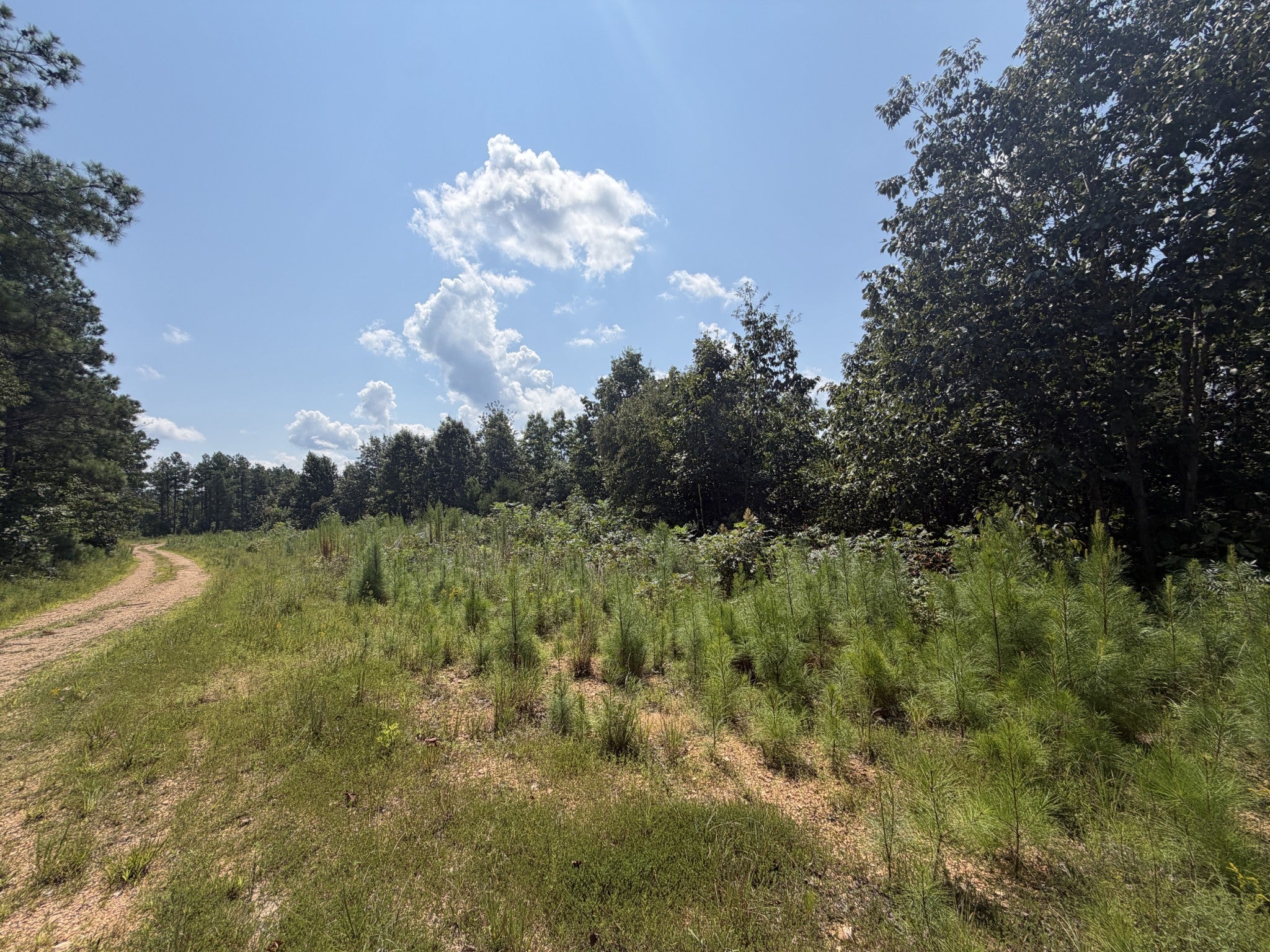 0 Black Bear Trail