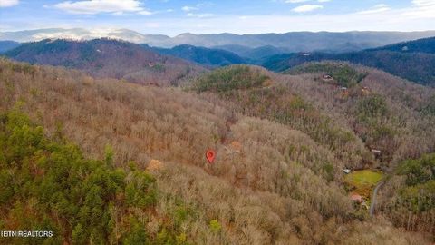 6 Deep Spring Lane Sevierville TN 37862