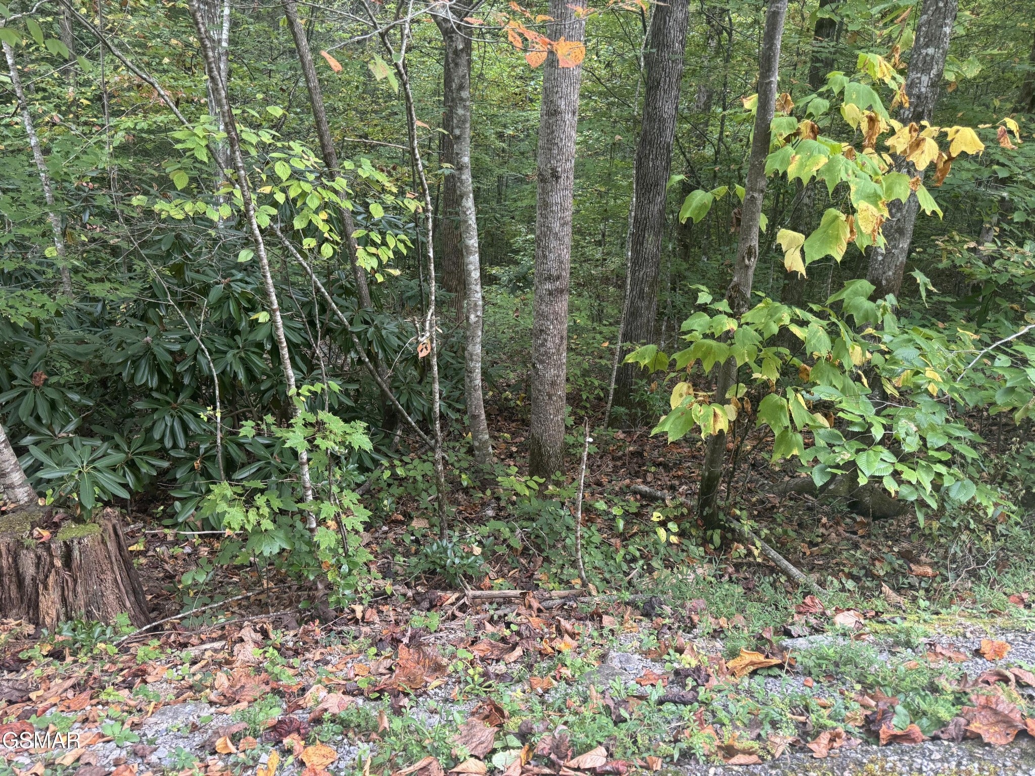 714 Pinnacle Vista Road
