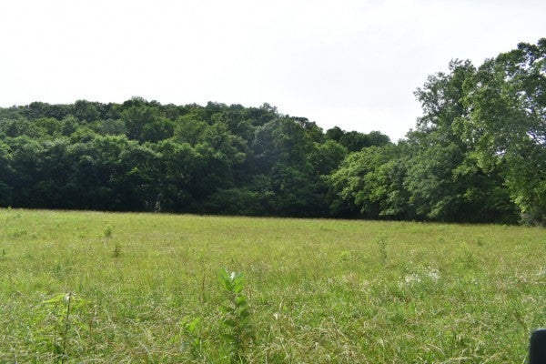 PLEASANT SHADE HWY, PLEASANT SHADE, TN 37145 - Image f0bbe4d104f23b805adcdfbcd159e1f0/2282444566