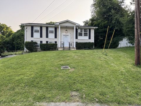 134 Cherokee Ct Antioch TN 37013