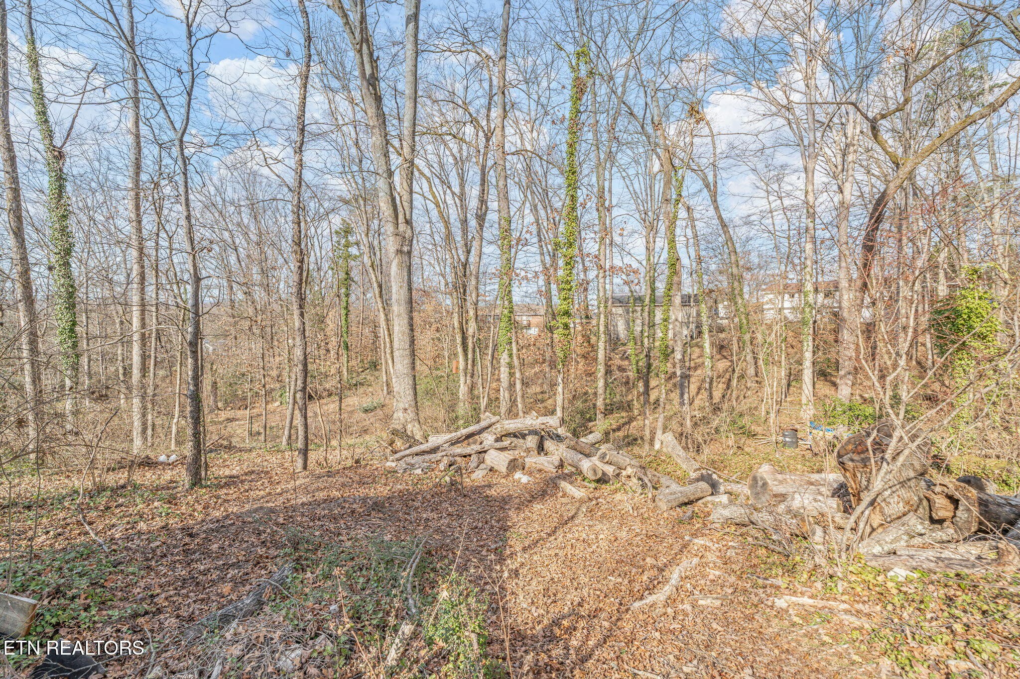 129 Cumberland View Drive