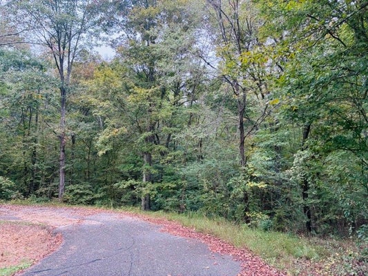 0 GREENWOOD ST, CAMDEN, TN 38320 - Image f0fa350d89d1ad20e24ae0b4e18ff262/3655632177