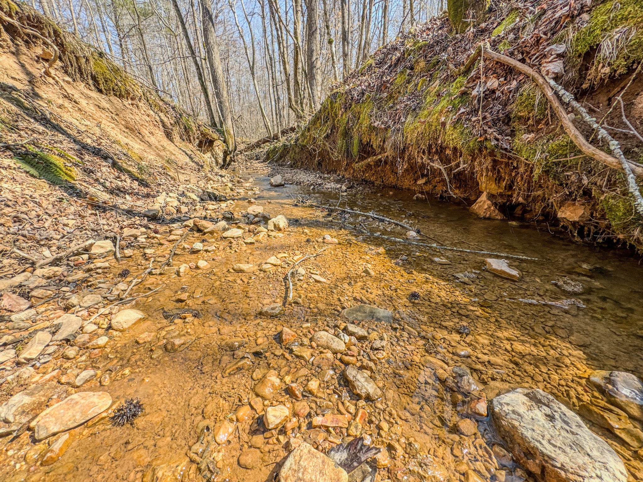 375 Roanoke Creek Rd