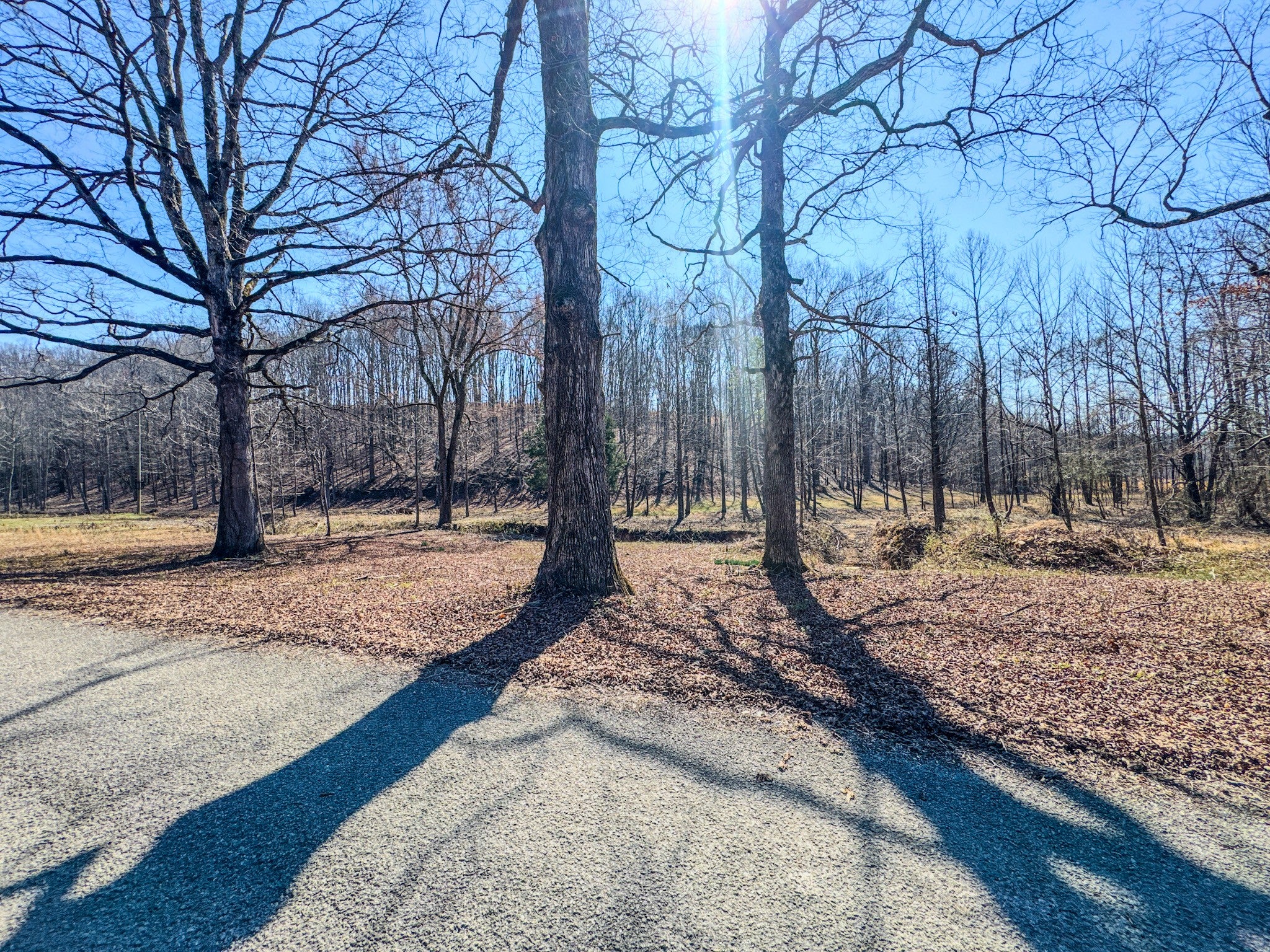 375 Roanoke Creek Rd