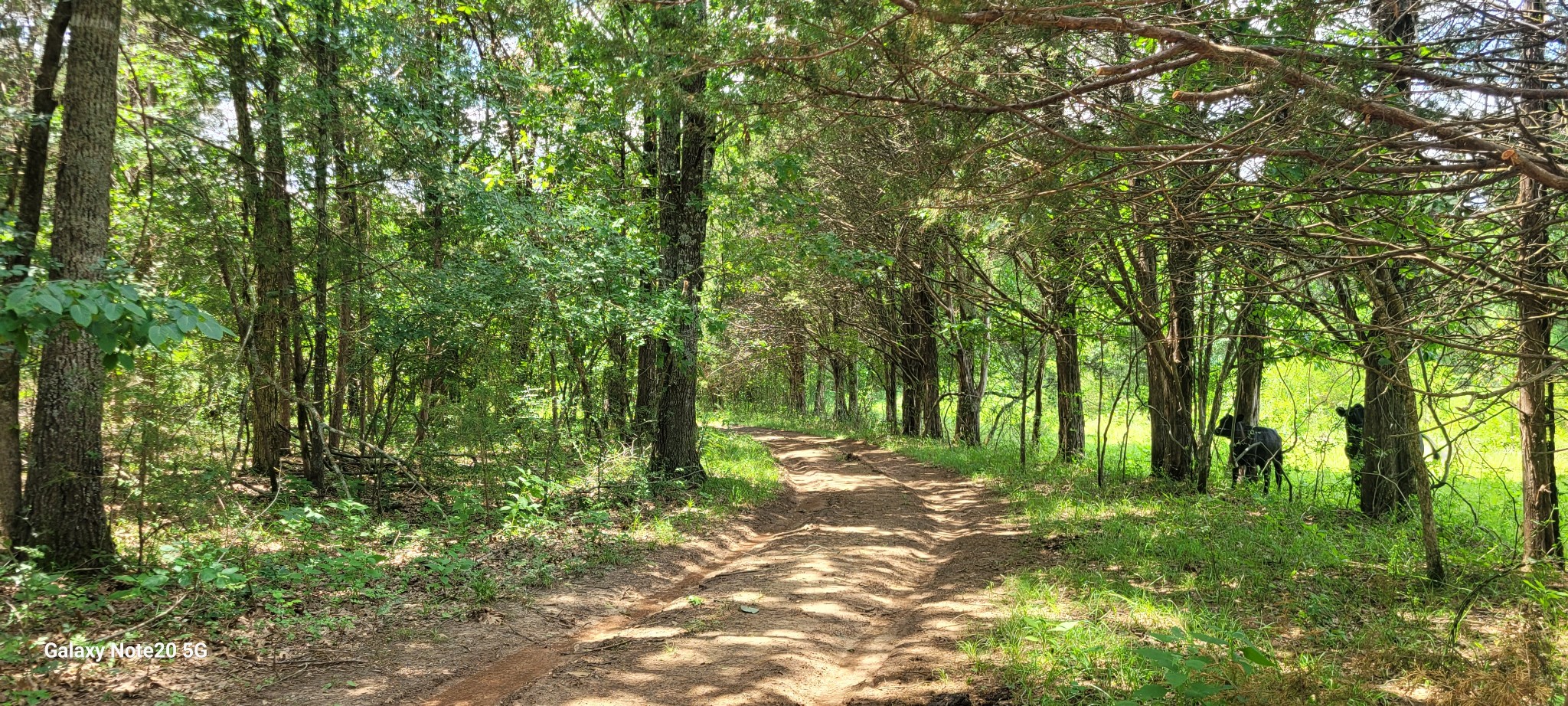 1 Clem Creek Rd