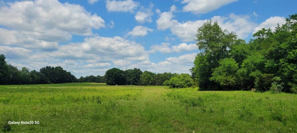 109 CLEM CREEK RD, CHAPEL HILL, TN 37034 - Image f0fe71c58ed5c7f573fbe99b8537dc43/2936616525