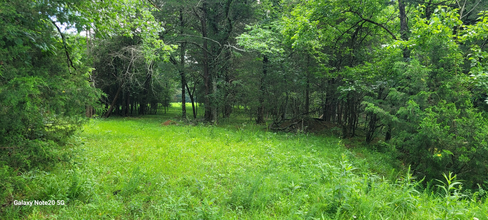 1 Clem Creek Rd