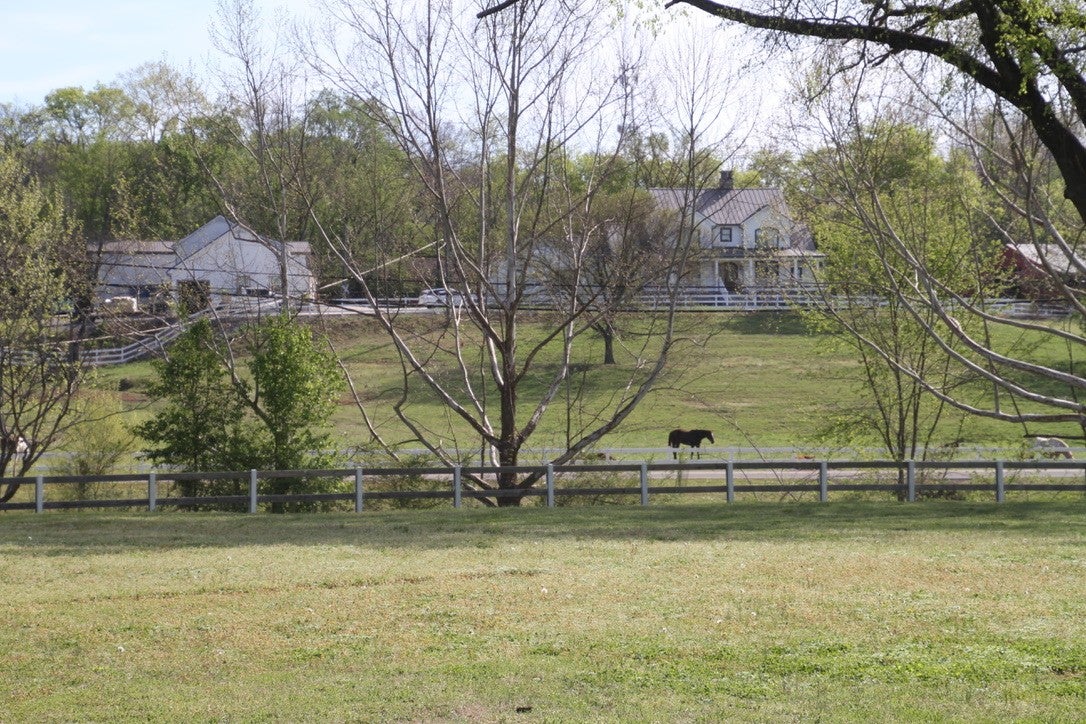 7991 Old Springfield Pike