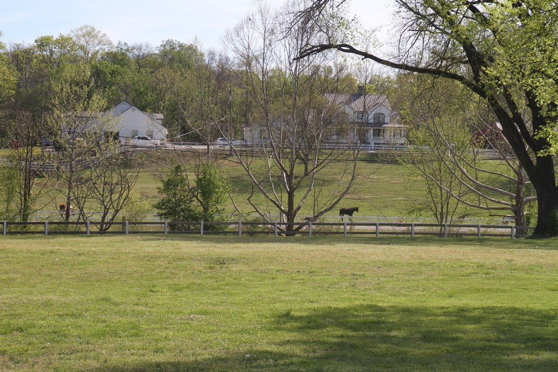 7991 Old Springfield Pike