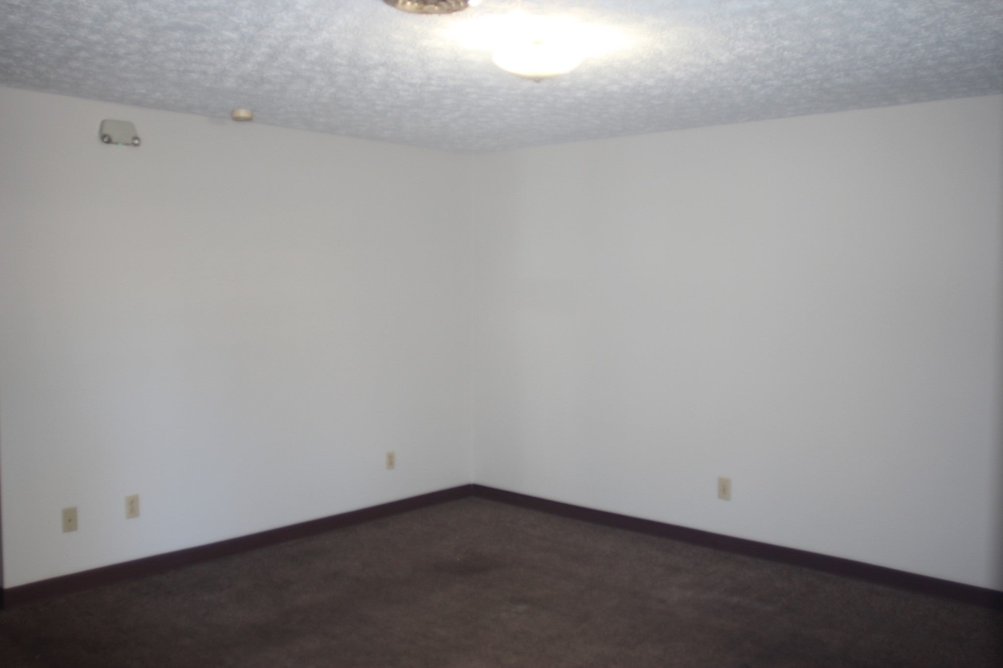 517 Bybee Branch Rd 41