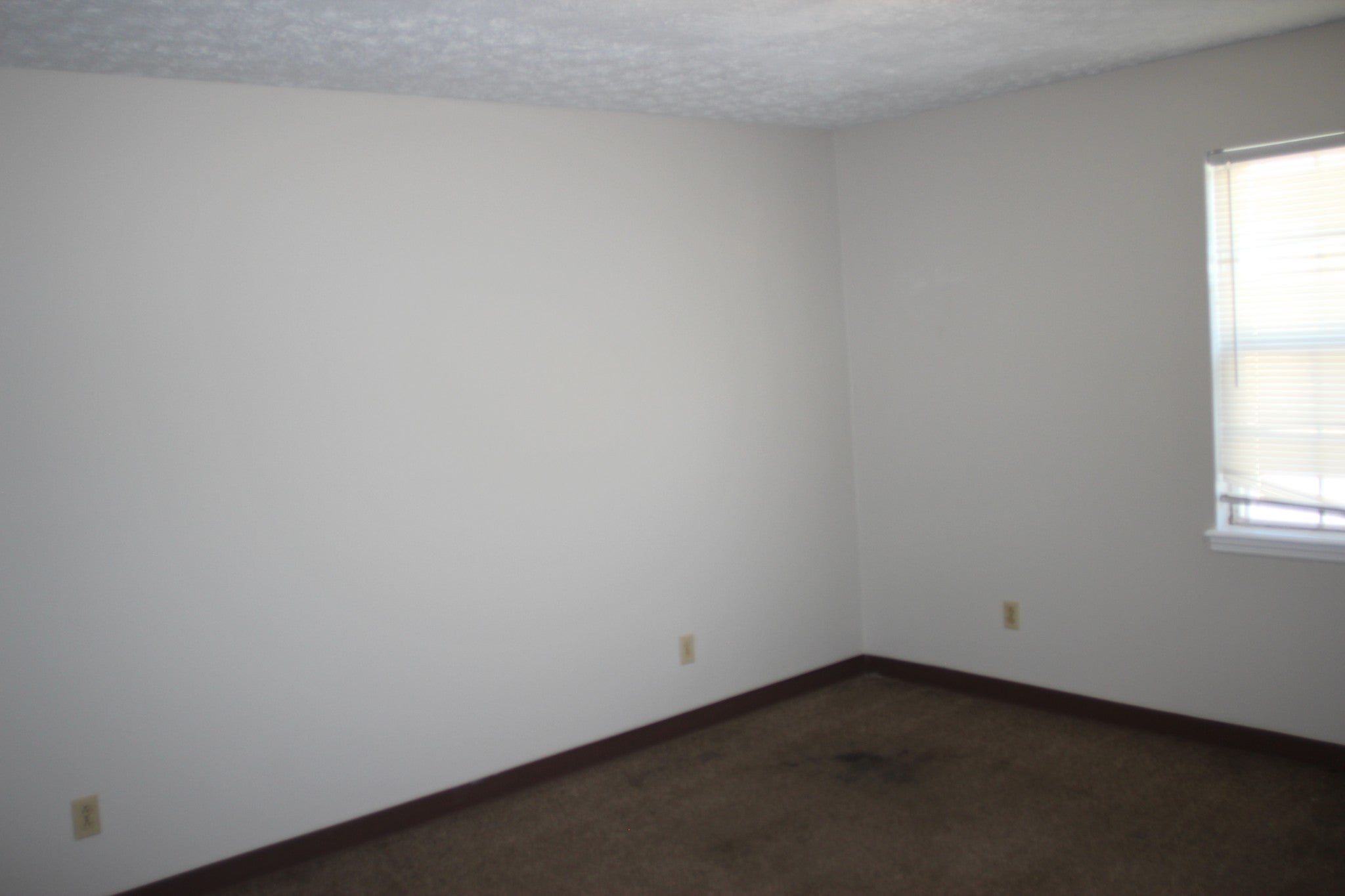 517 Bybee Branch Rd 41