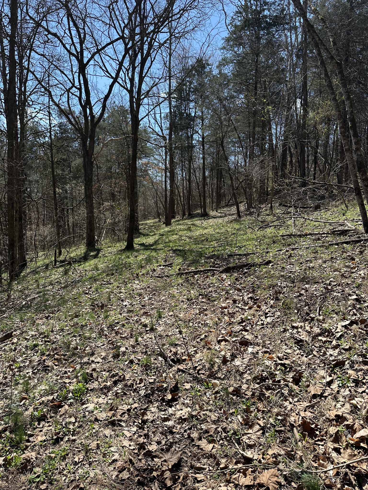 0 Ben Gentry Ln