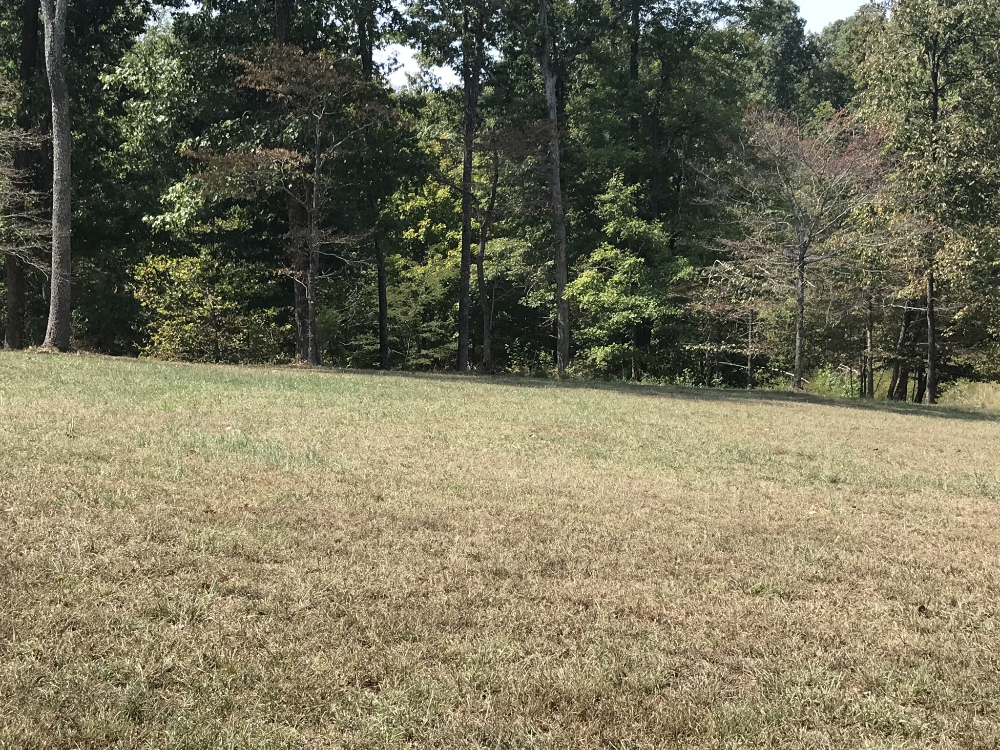 776 Norris Hollow Rd