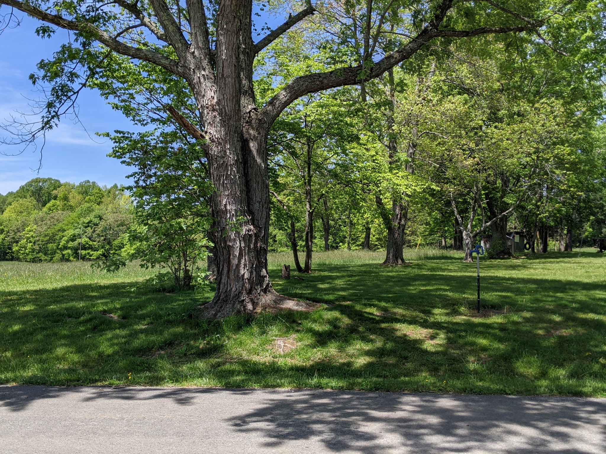 2025 Salem Road North
