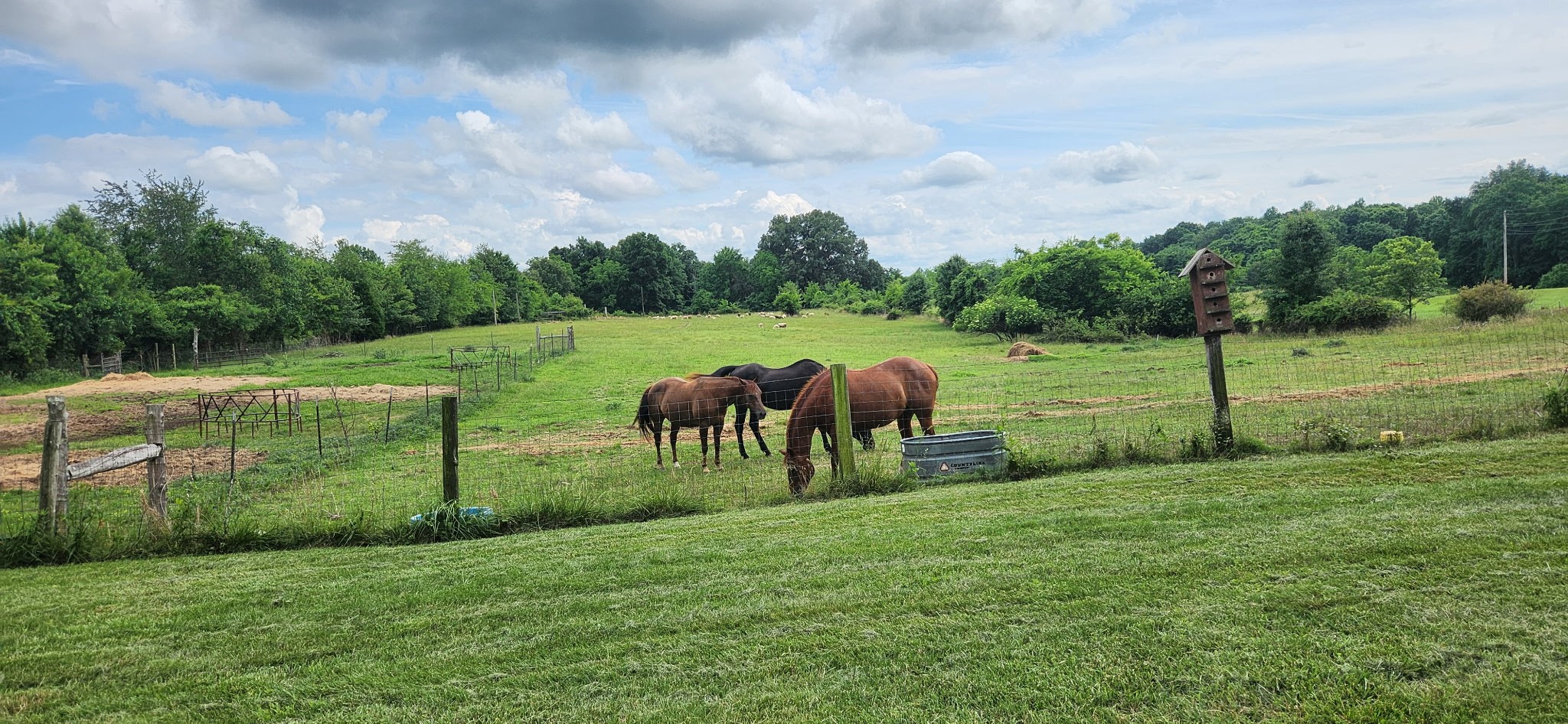 5849 Catholic Church Rd