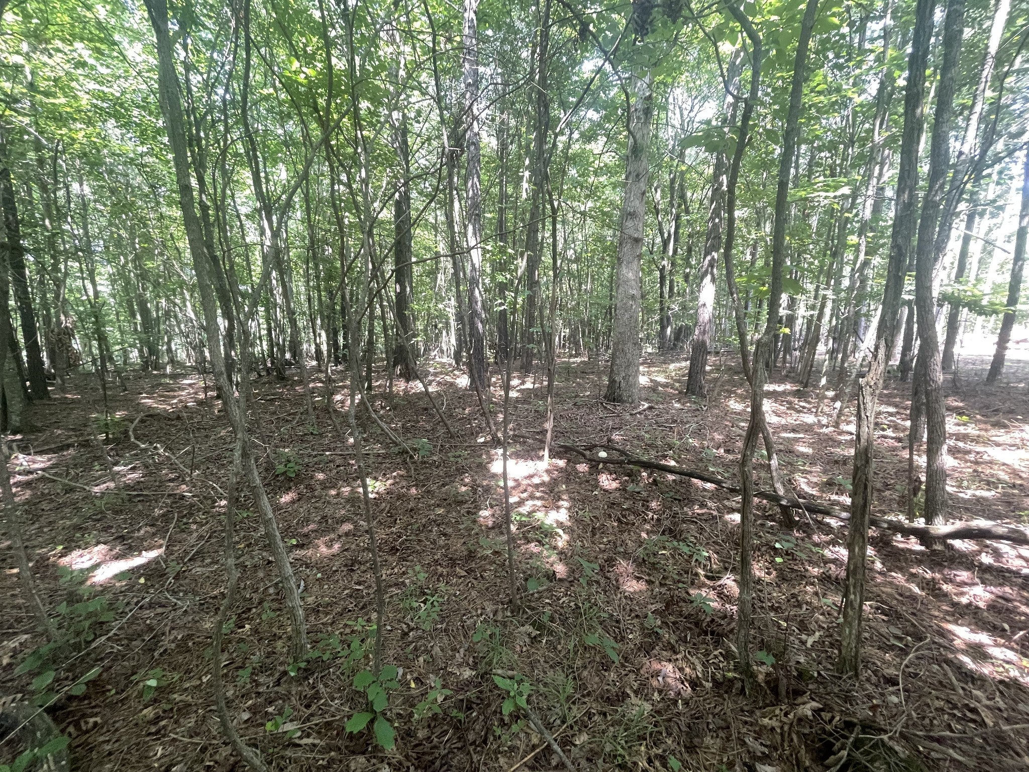 0 Tall Woods Ln