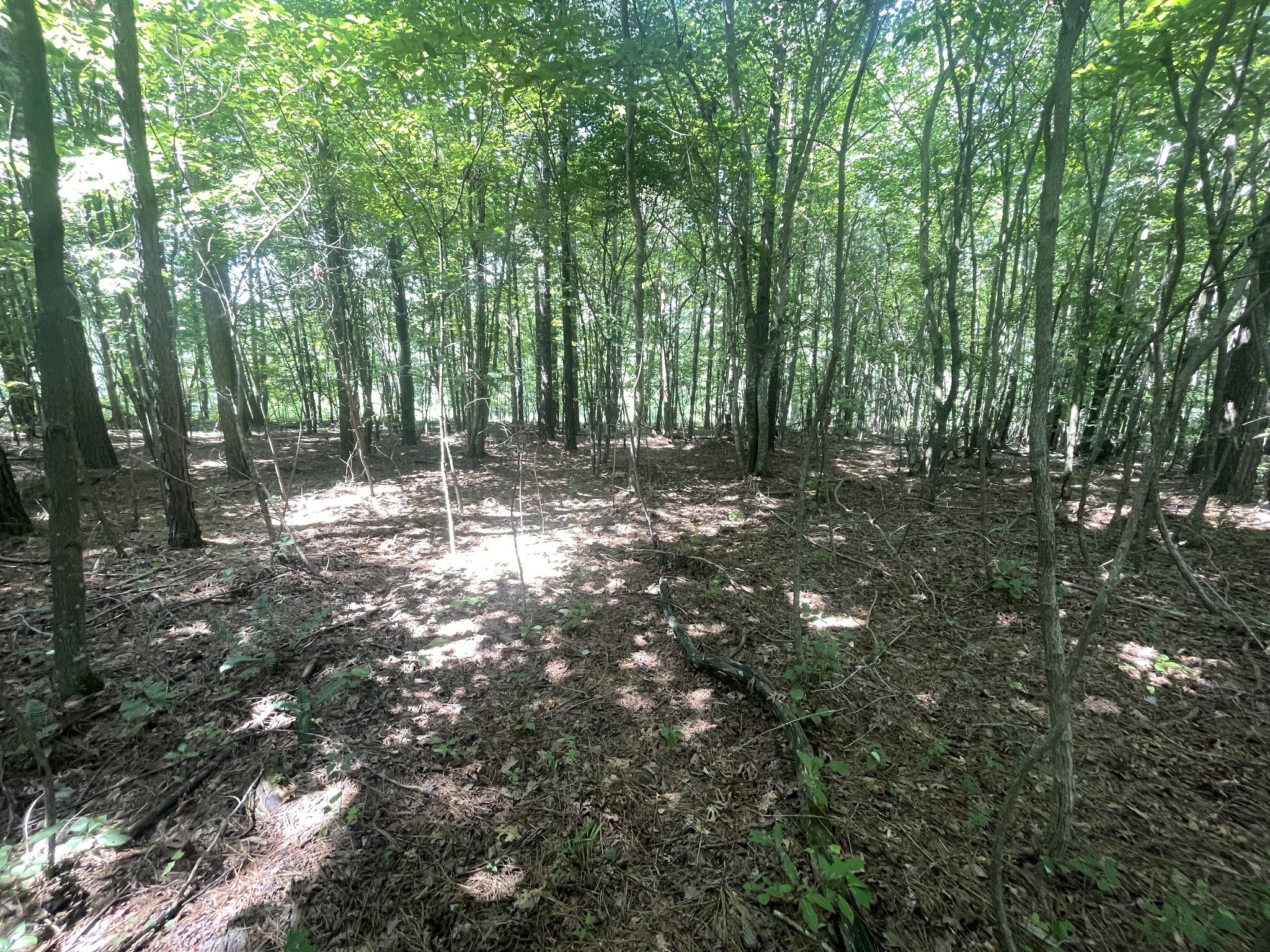 0 Tall Woods Ln