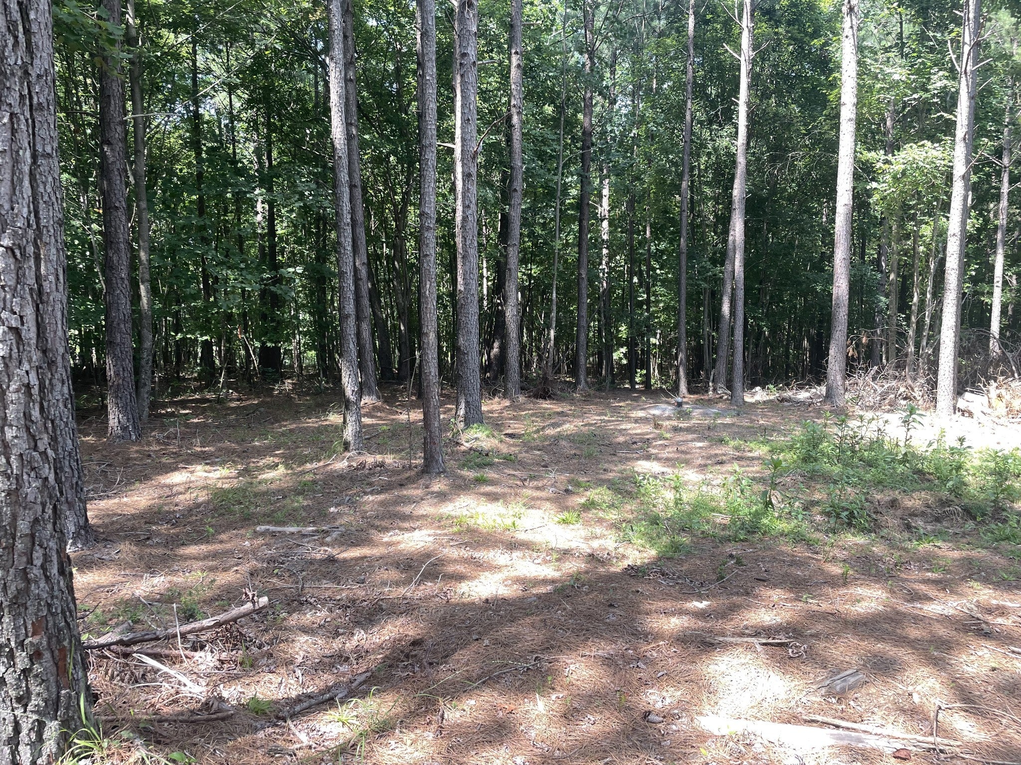 0 Tall Woods Ln