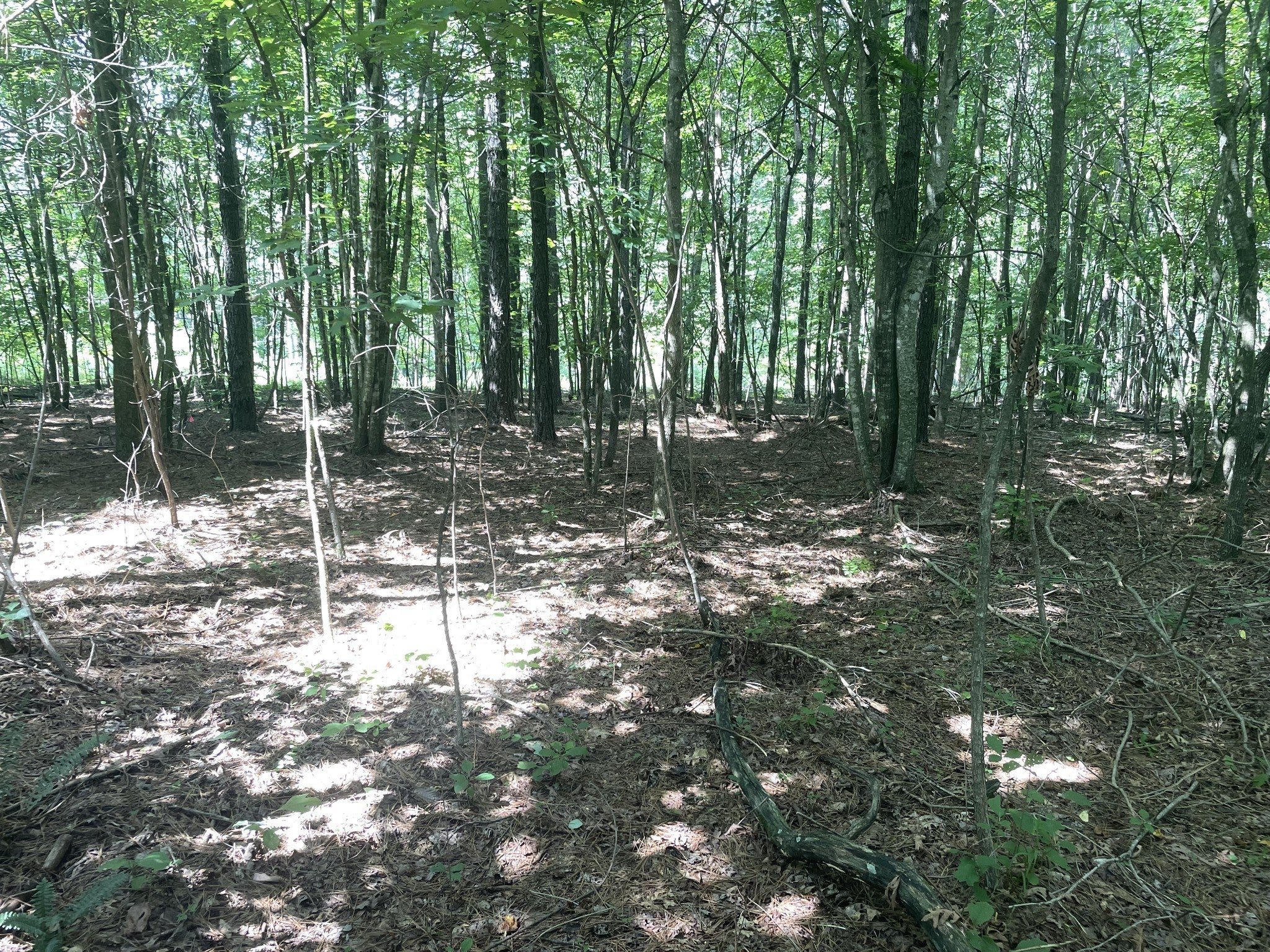 0 Tall Woods Ln