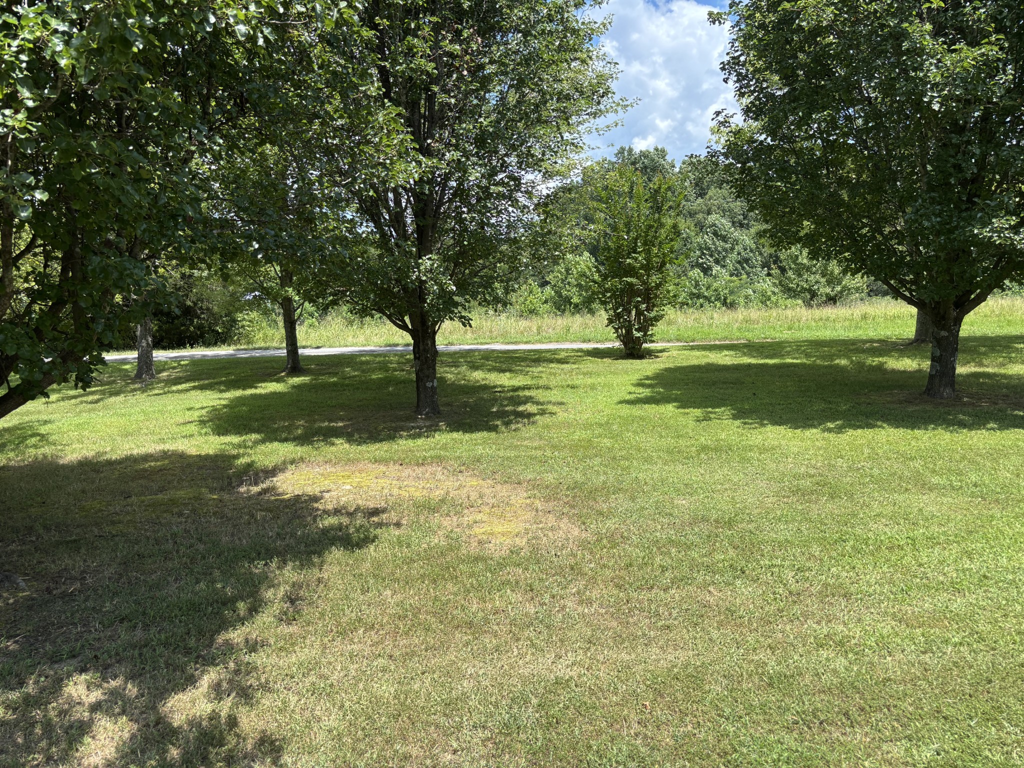 152 Earl Flatt Ln
