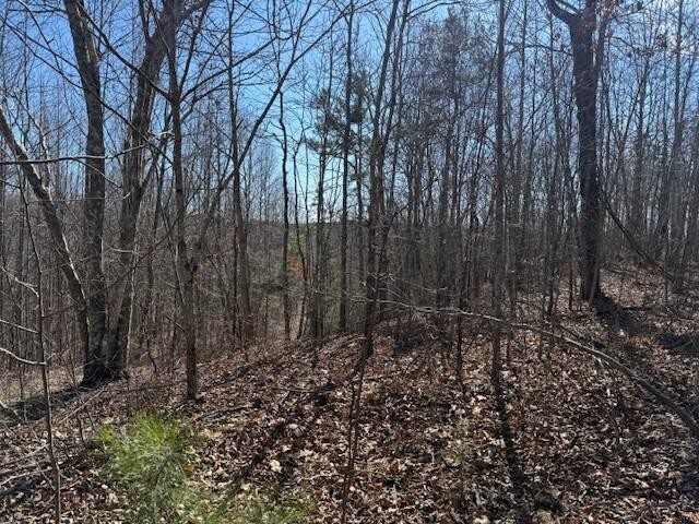 4 South Pittsburg Mountain