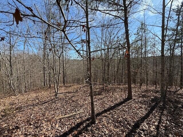 4 South Pittsburg Mountain