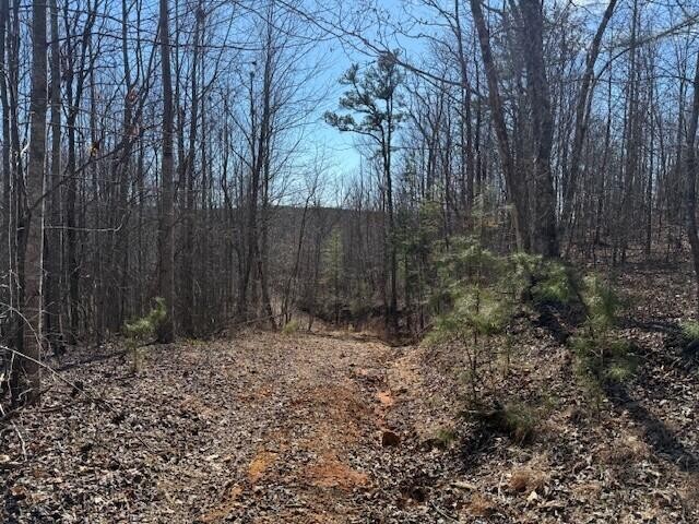 4 South Pittsburg Mountain