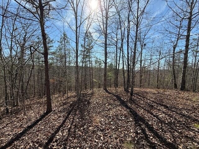 4 South Pittsburg Mountain