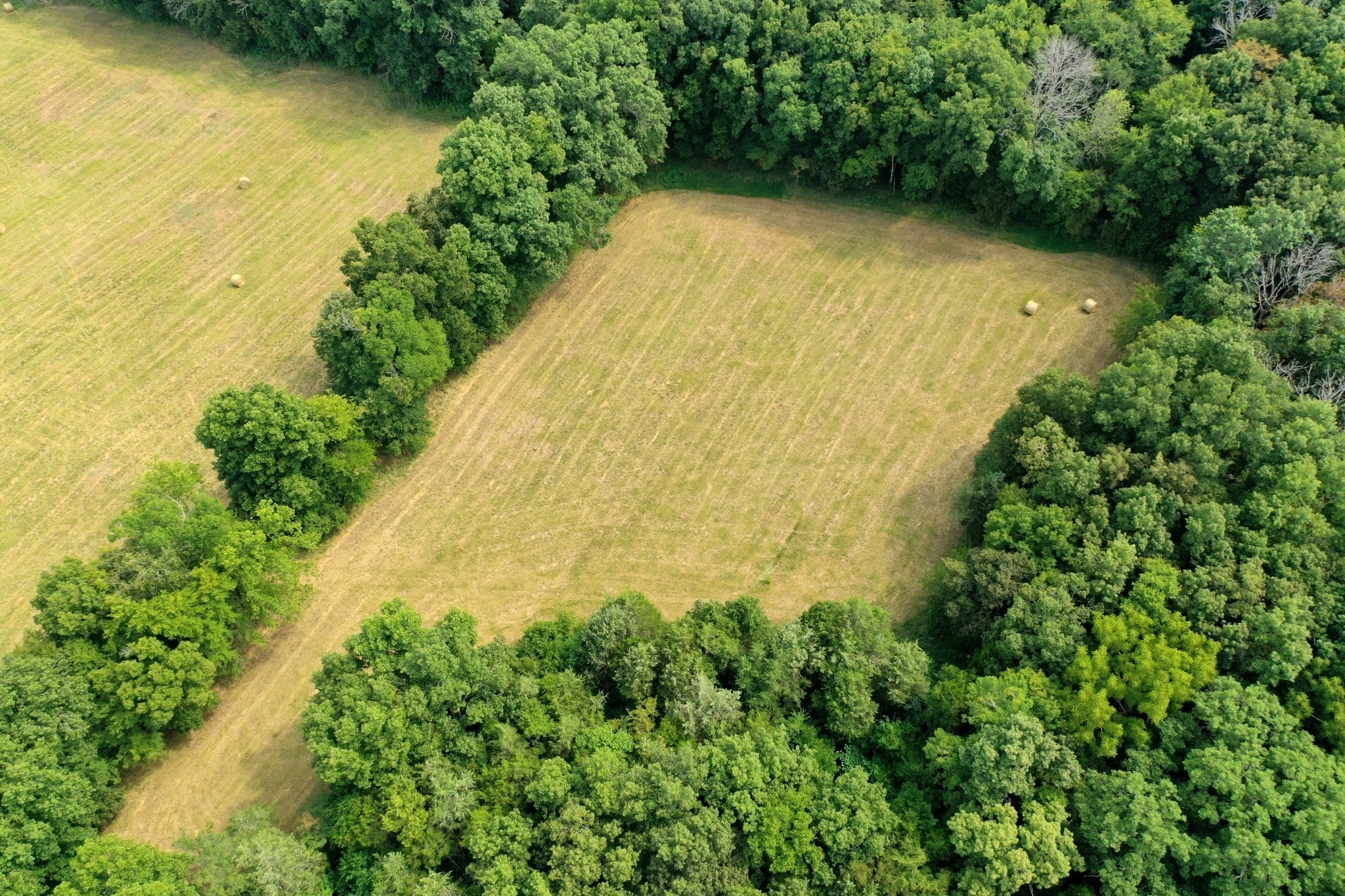 0 ELLINGTON PKY S