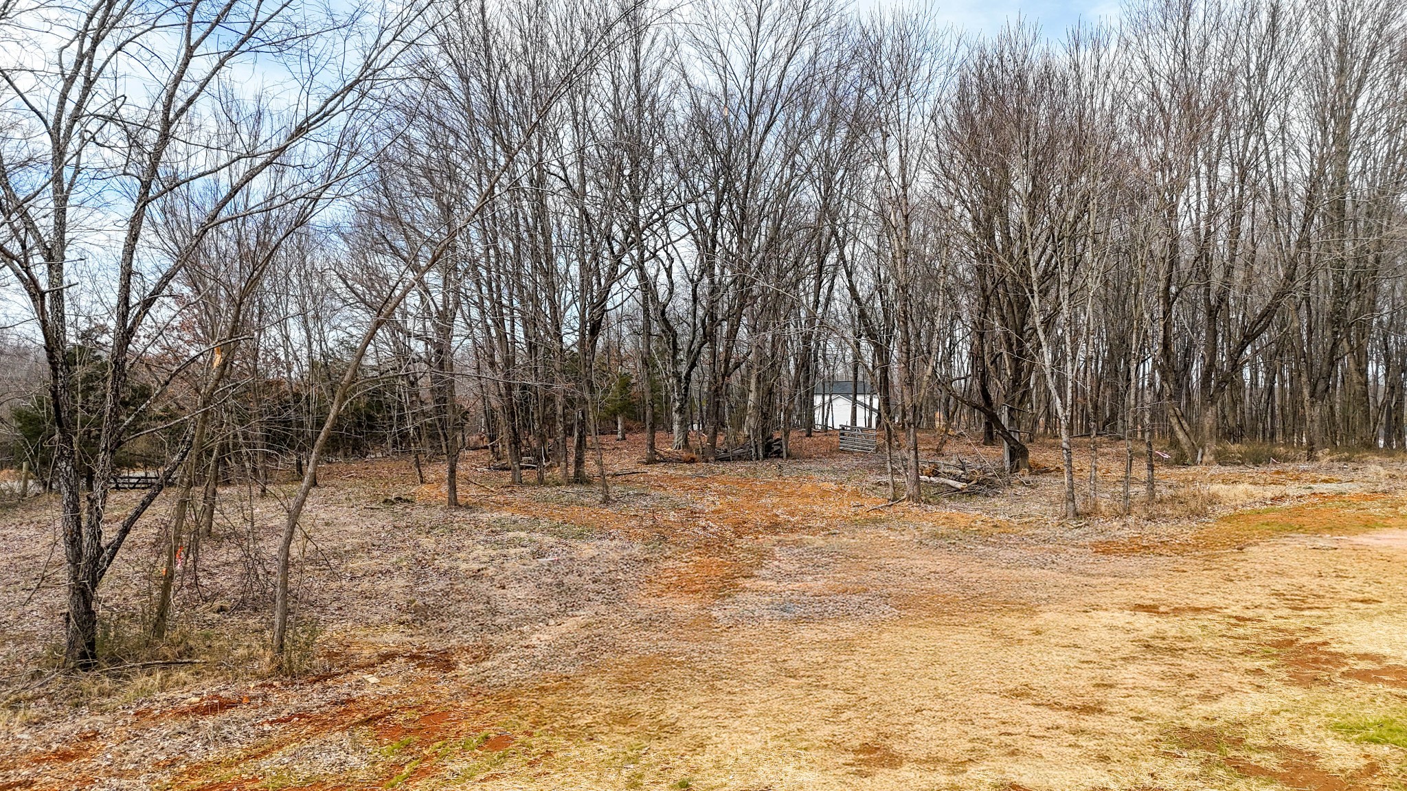 101 Cherry Blossom Way