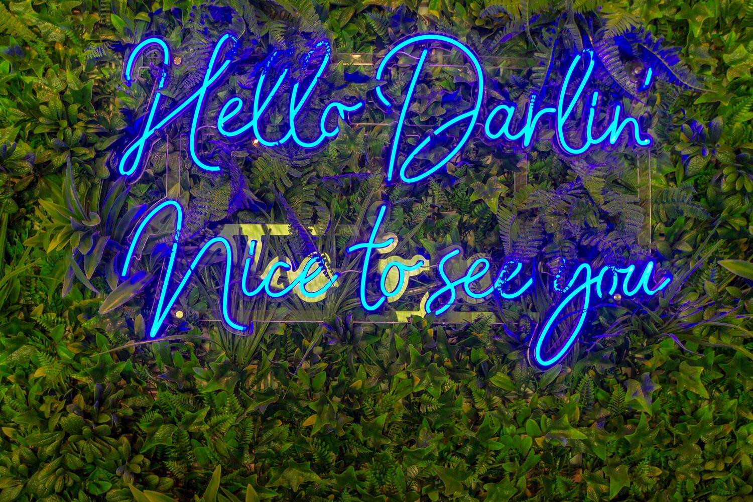 293 Plus Park Blvd 111