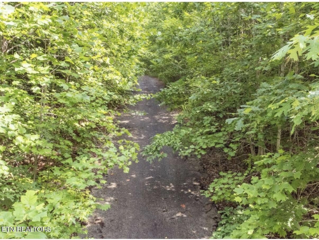 228 Crystal Springs Rd