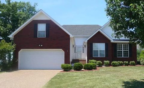 Photo of 2611 Matchstick Pl, Spring Hill, TN 37174 (MLS # 3217179)
