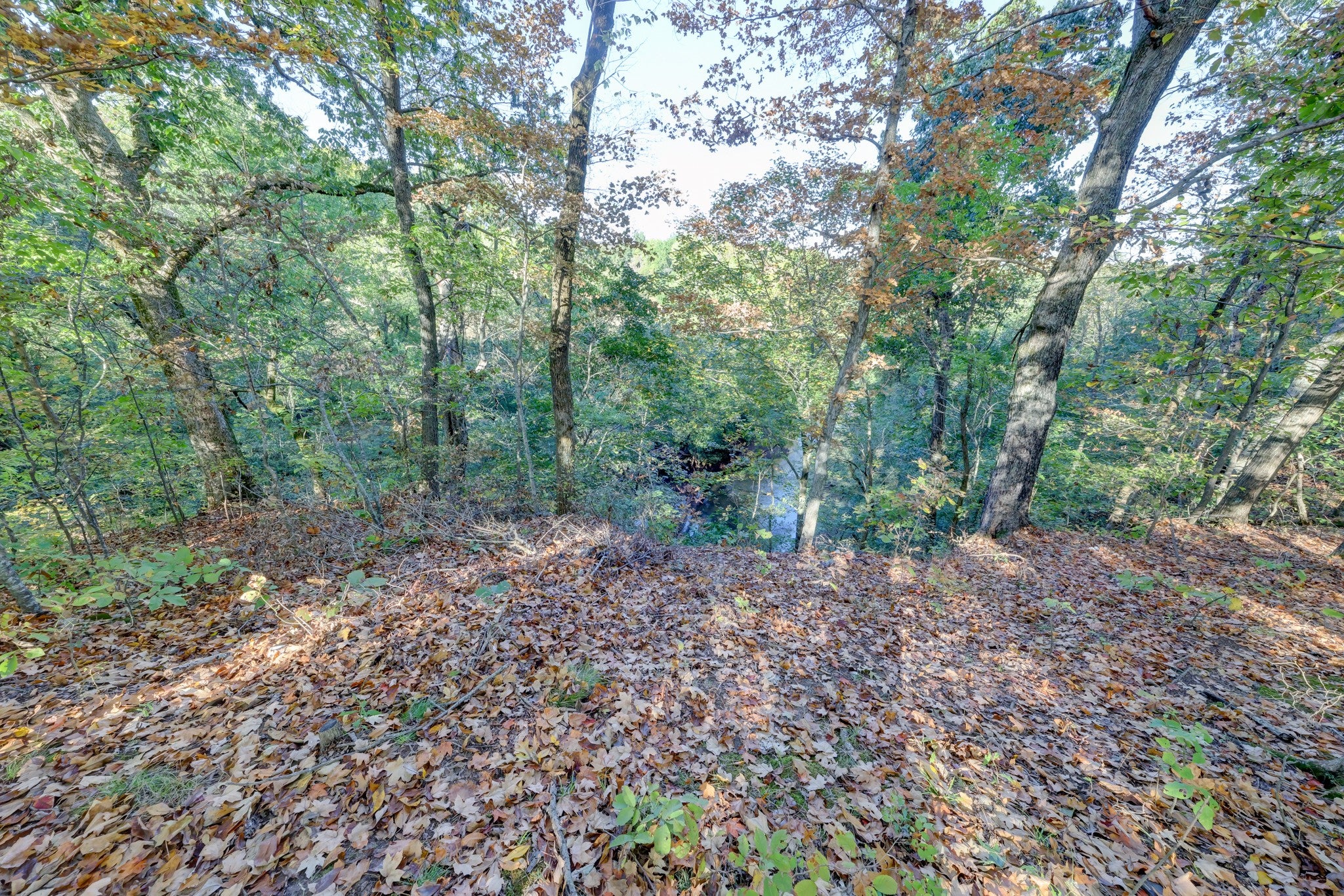 2463 Elkmont Drive