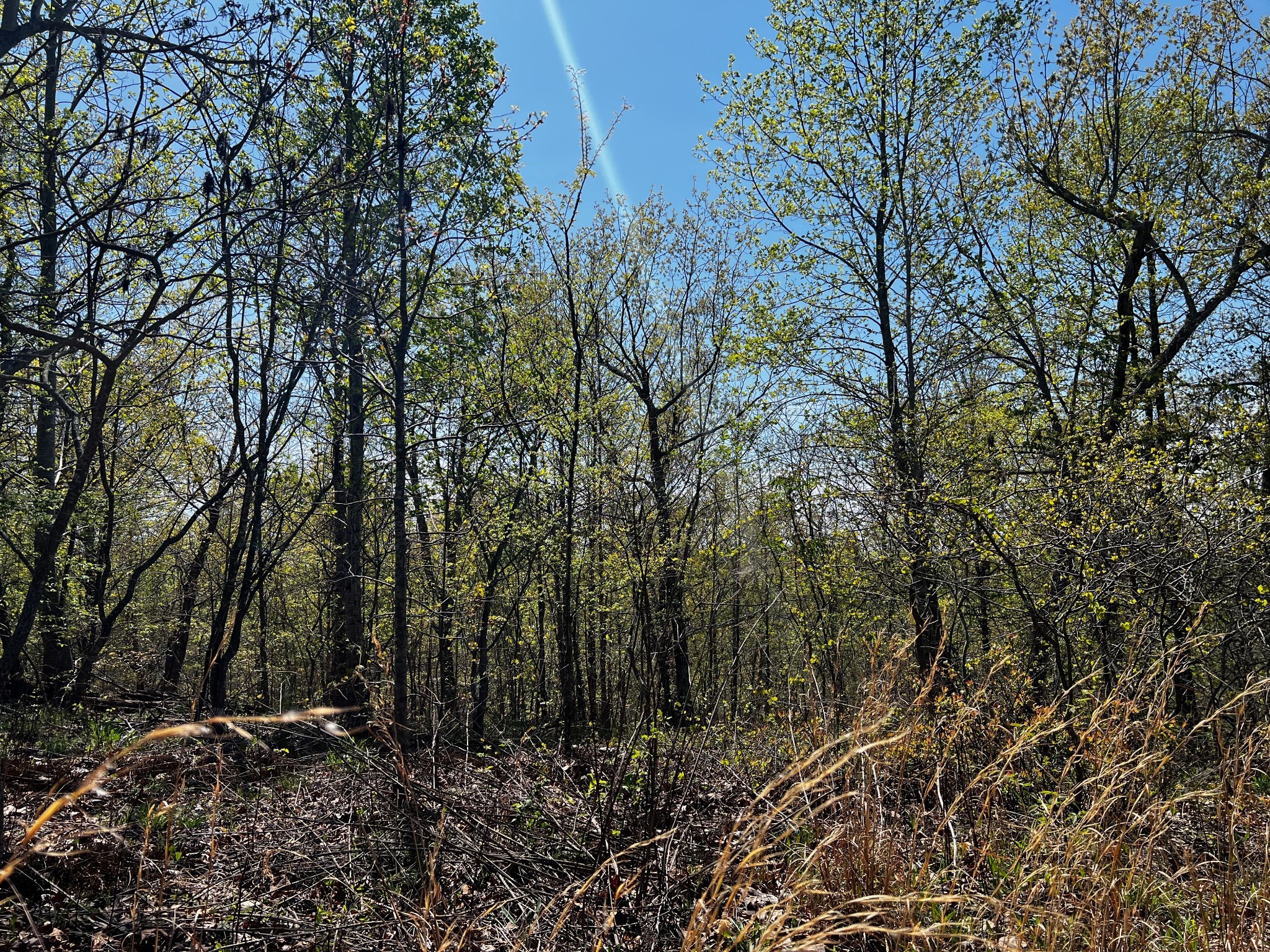 0 Shores Trail