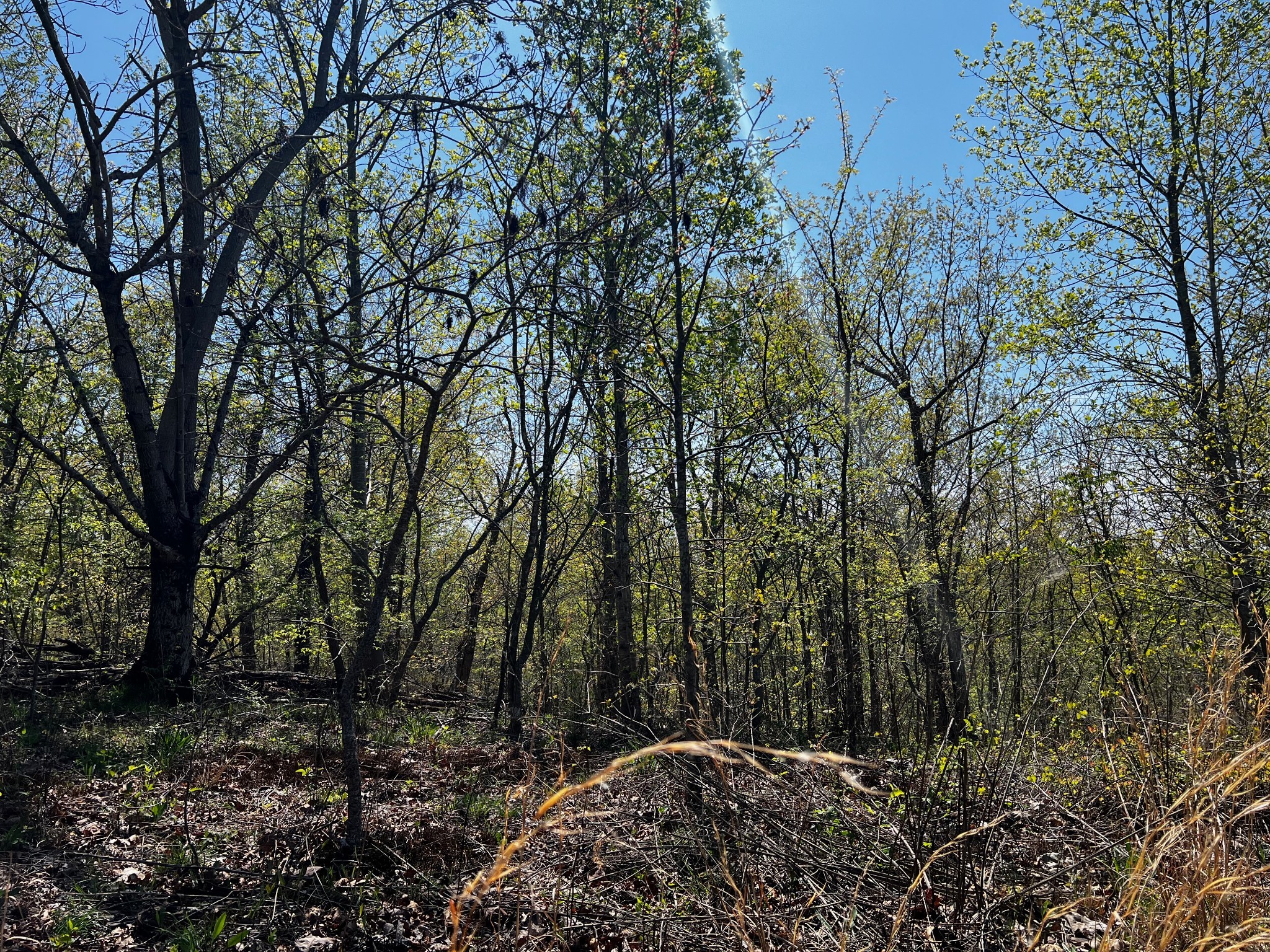 0 Shores Trail