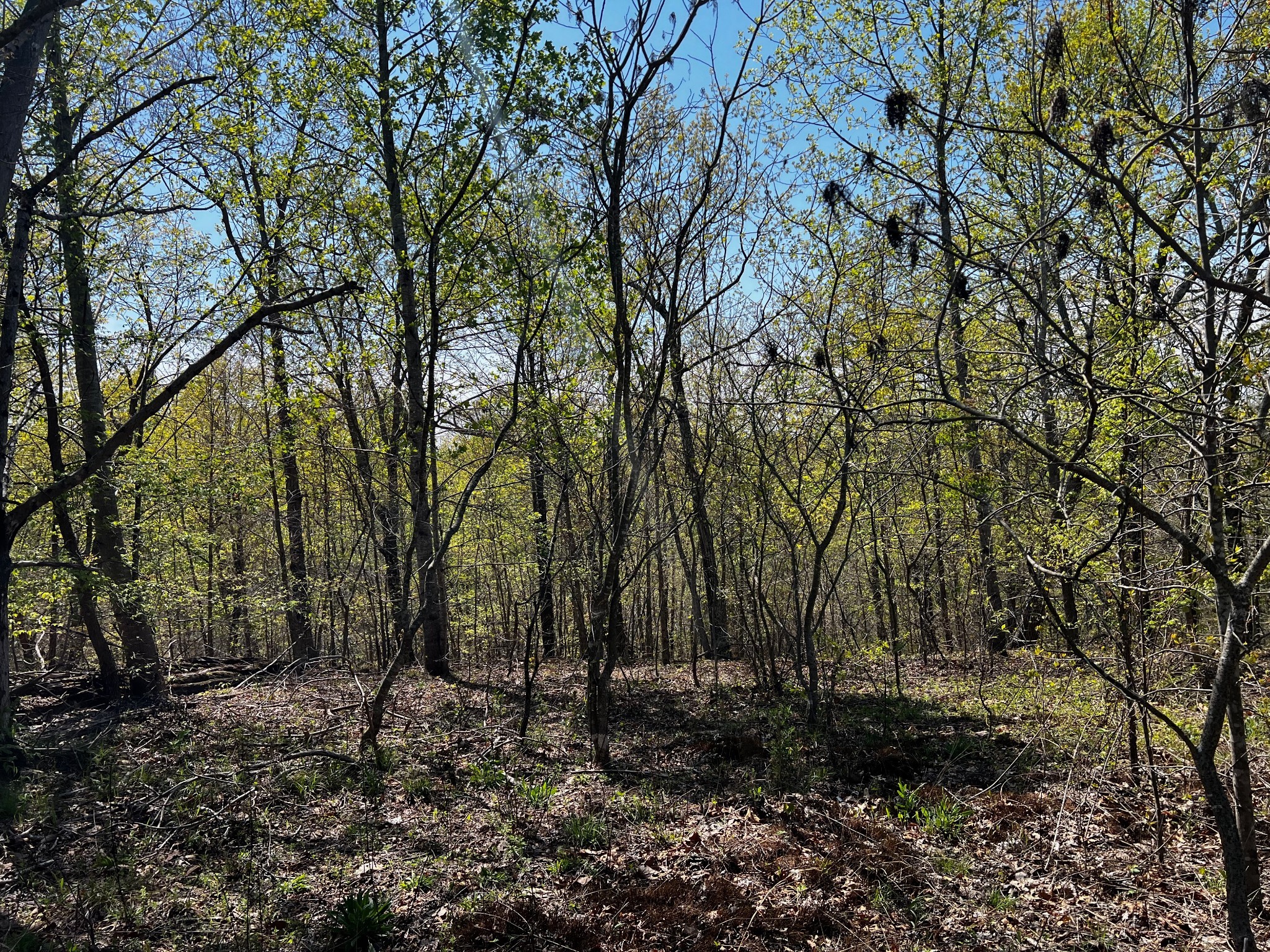 0 Shores Trail
