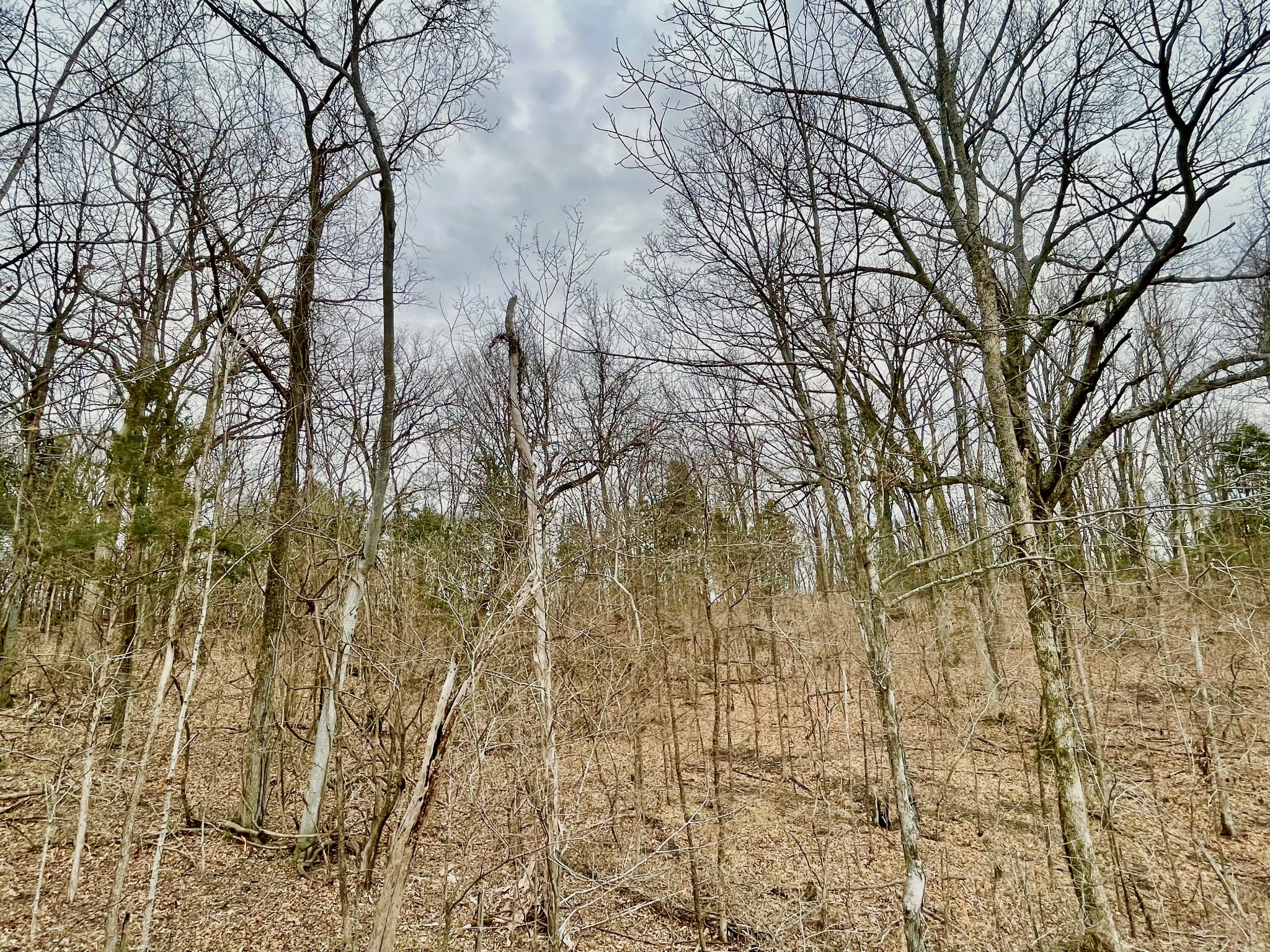 2040 Vail Trace
