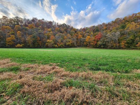 0 Pine Lick Rd Whitleyville TN 38588