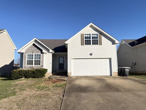 3655 Cindy Jo Dr S Clarksville TN 37040