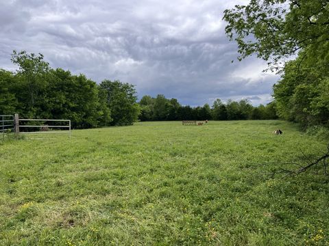 138 Coleman Harvey Ln, Shelbyville, TN 37160 - MLS#: 2867687