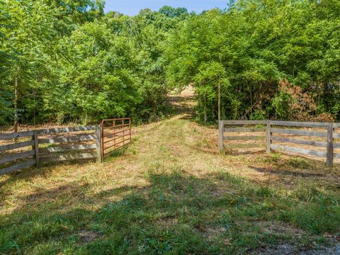 0 Rabbit Trail Rd Lynnville TN 38472