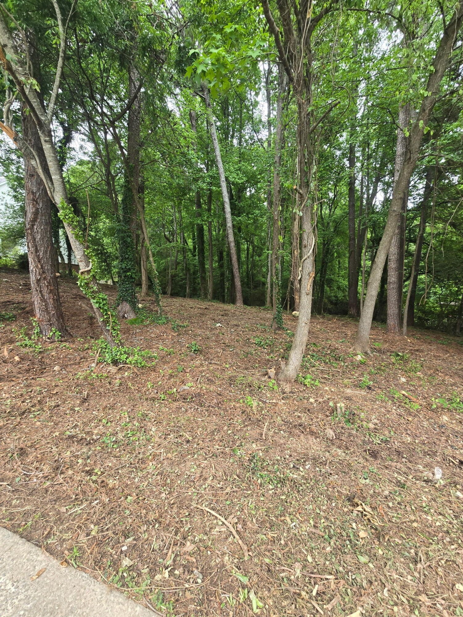 35 Ryman Ridge Road