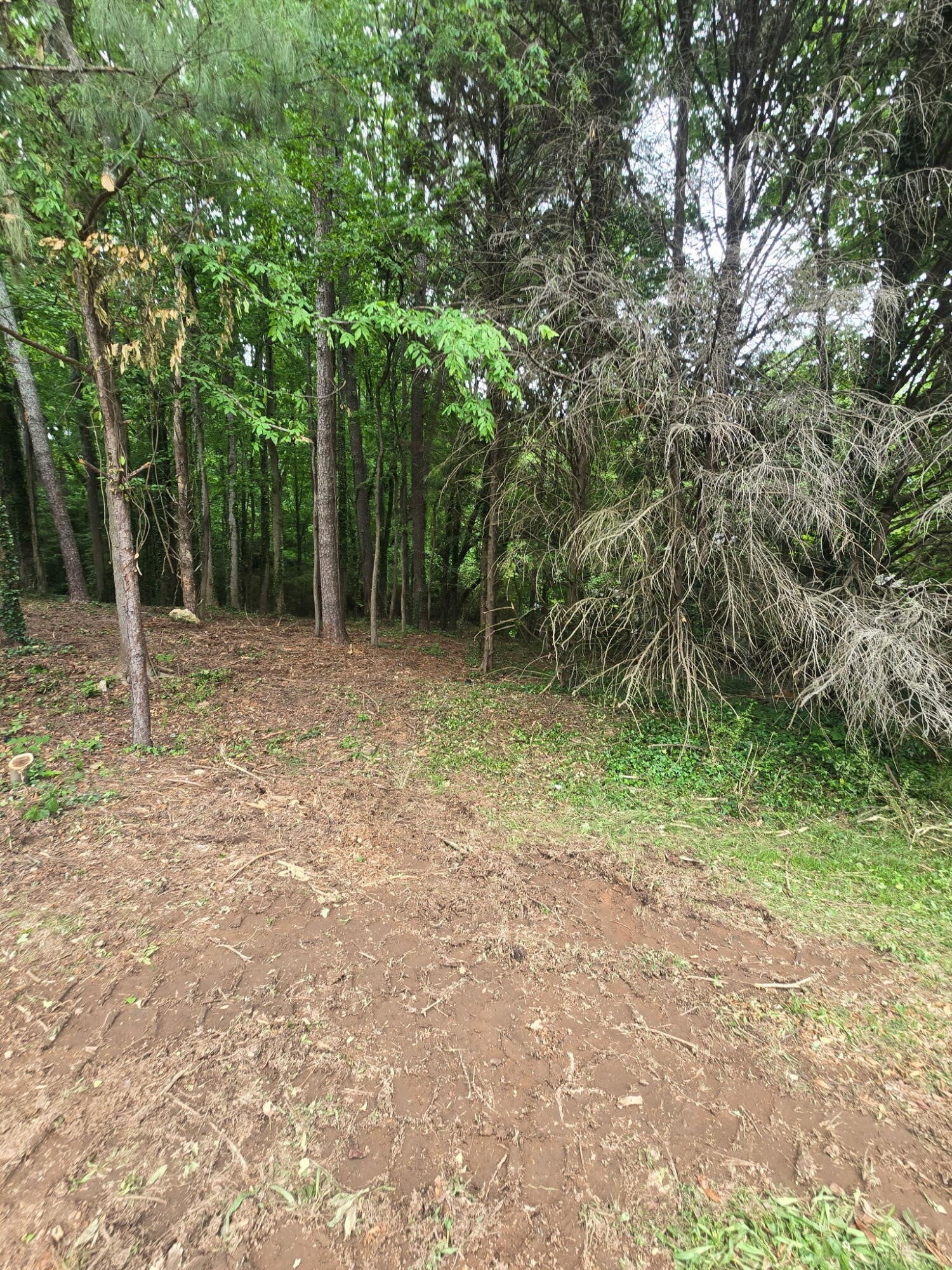 35 Ryman Ridge Road