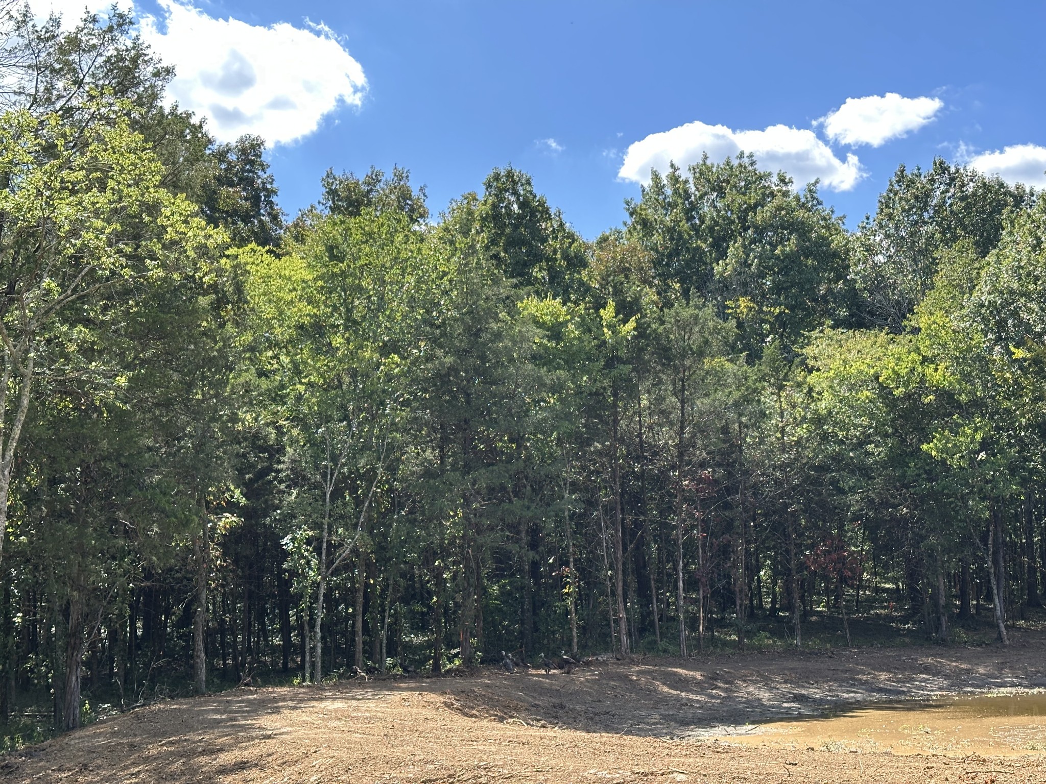 0 Atkinson Rd