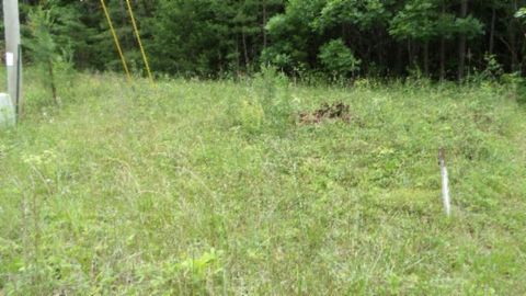 0 Parkstown Ext Rd Wilder TN 38589