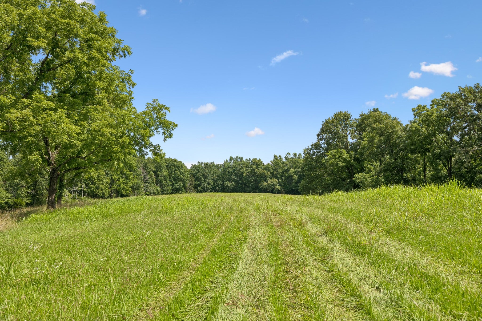7700 Daugherty Capley Rd